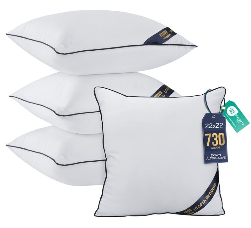 Throw Pillow Inserts