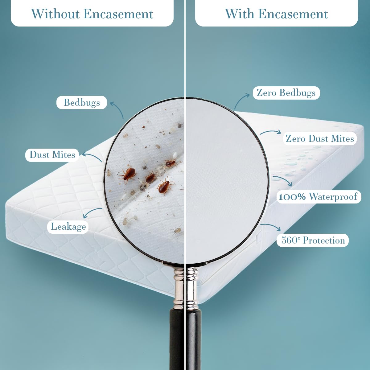 Mattress Encasement