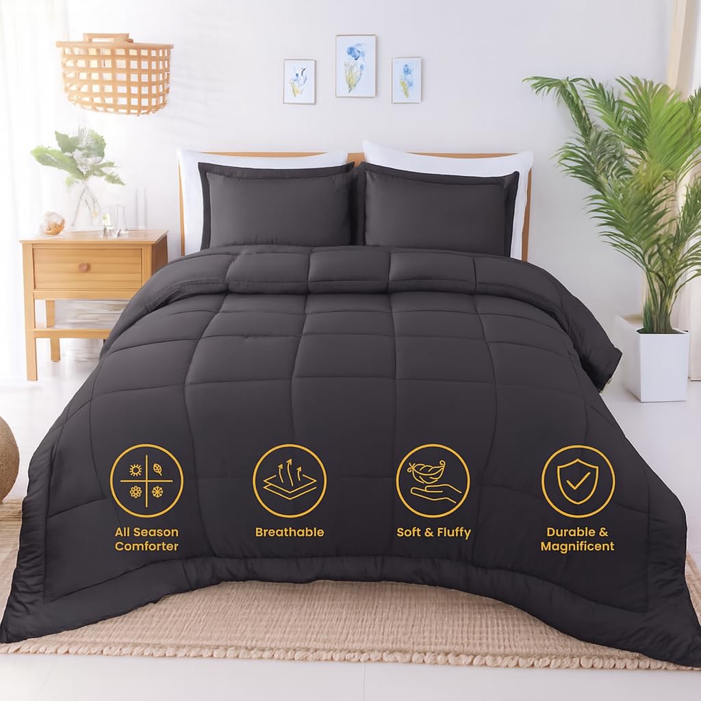 200 GSM Solid Comforter Set