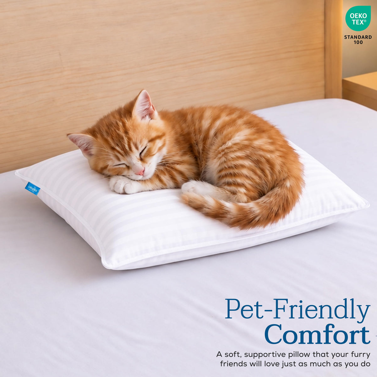 Travel Pillow - 2 pack
